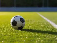 前皇马球星,涉嫌散播儿,童色情照,巅峰国际会员登录入口,巅峰国际官网,巅峰国际