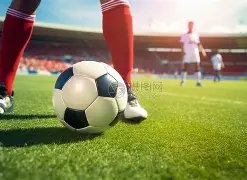 巅峰国际,资讯,巅峰国际会员登录入口,巅峰国际会员登录入口,巅峰国际官网,巅峰国际